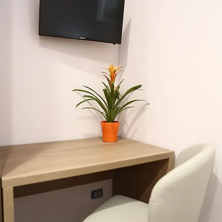Magiola